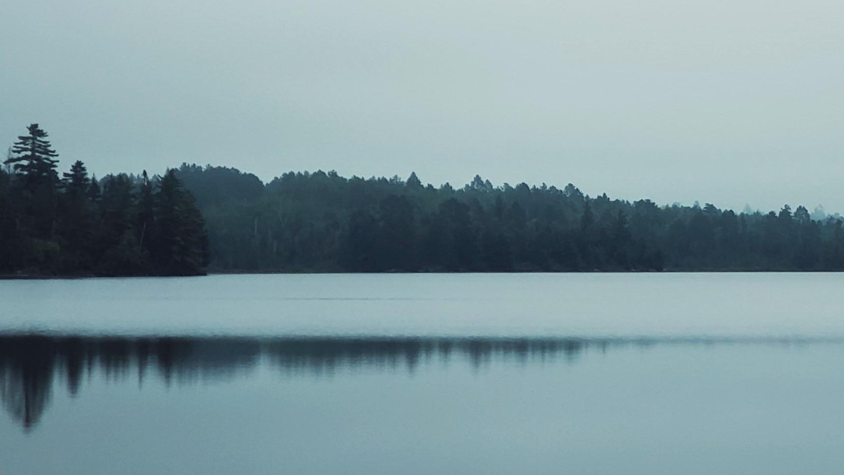 Scenic Lake Trees with Fog