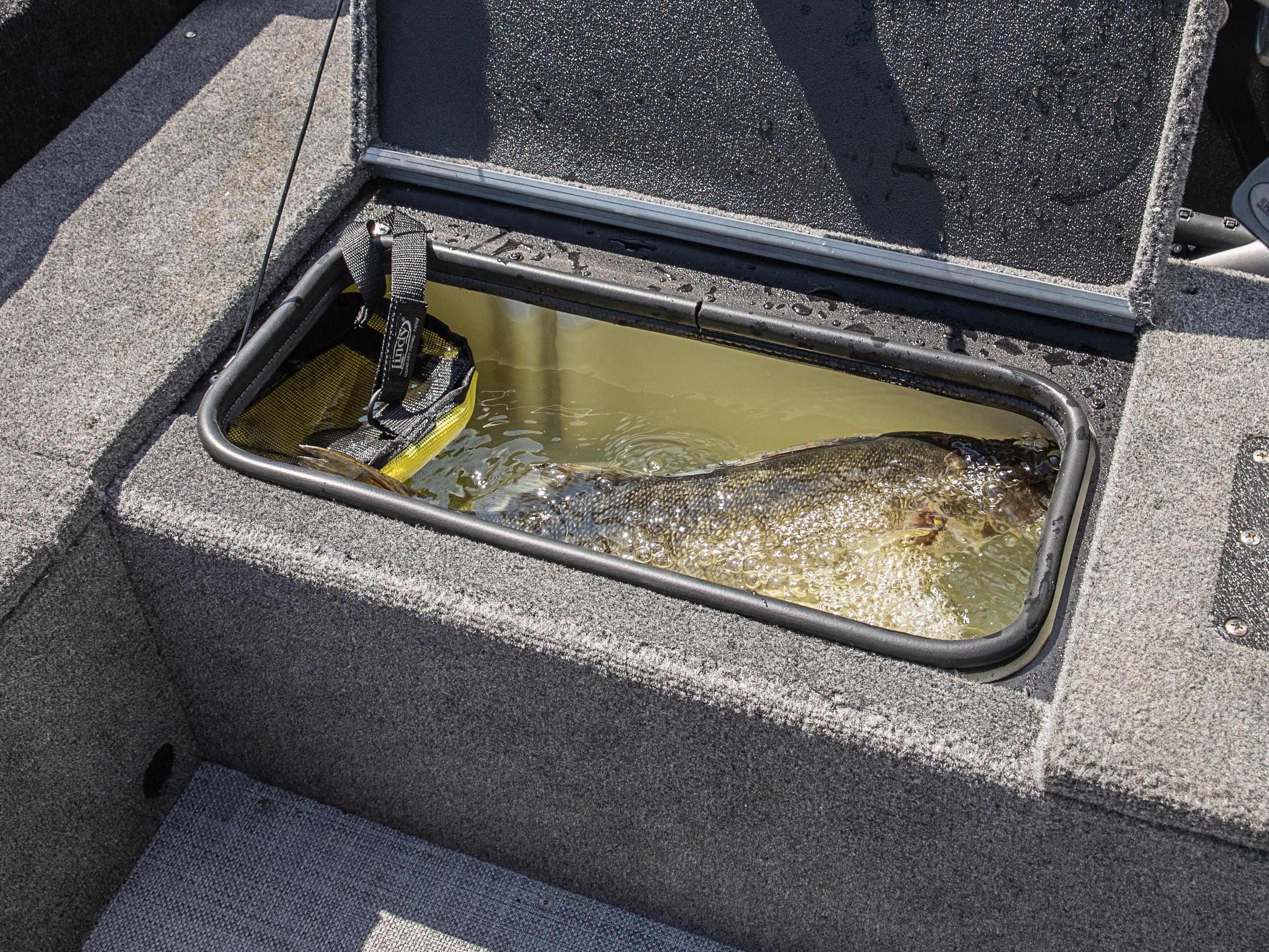 How to Keep Fish Alive in Livewell | Loyal Fishing