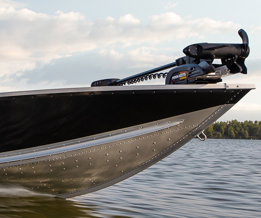 front hull of a Multispecies BlackSilver boat