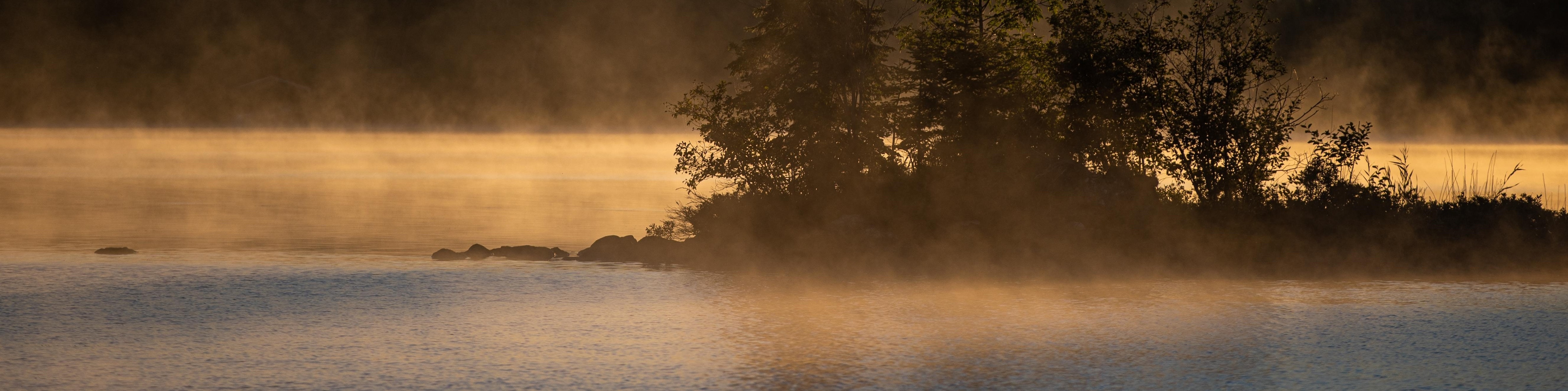 Lac panoramique avec des arbres et du brouillard