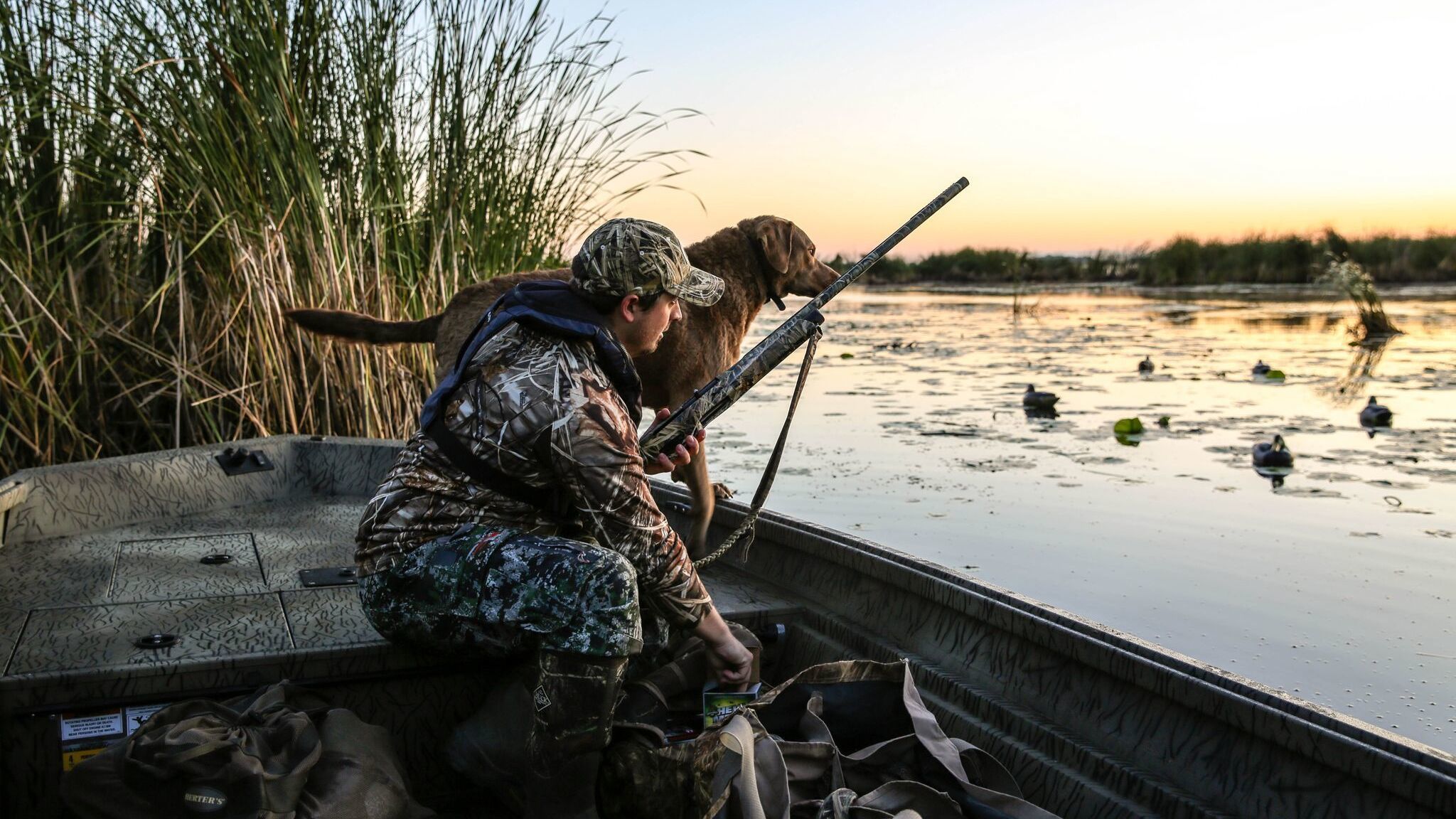 Alumacraft Boat WATERFOWLER 18 Duck Hunting Dog