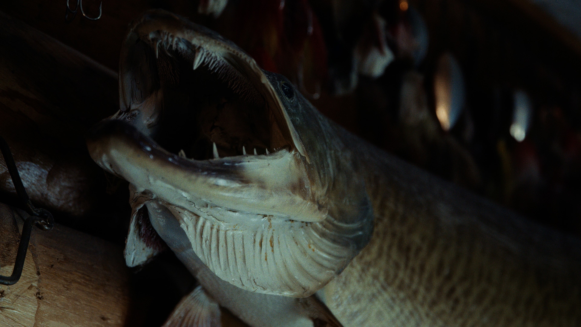 Close-up view of a muskie